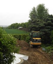 Baum- und Rosenschule Müller Bild 13