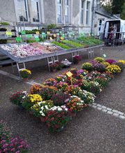 BJL Potager image 5