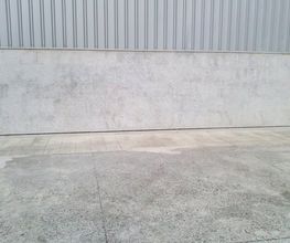 Linocor imagen 13