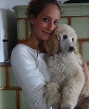 Hundephysiotherapie Touch for Dog Bild 1