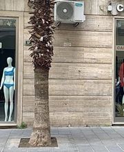 Calzedonia immagine 1