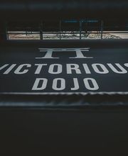 Victorious Dojo Bild 7