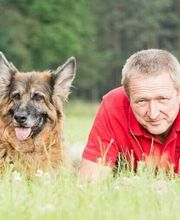 Hundetrainer / Fachrichtung Problemhundetherapie