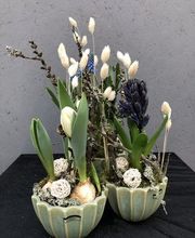 Blumen Kraft Bild 1