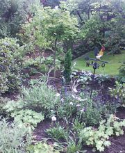 DSC00111.jpg