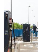 Wenea imagen 4