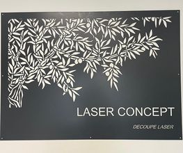 LASER CONCEPT image 2