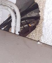 LRL 3D image 16