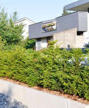 Zemp Gartenbau Bild 3