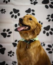 Parrett Veterinary Clinic image 9