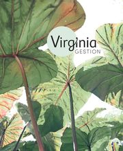 Virginia Gestion image 1