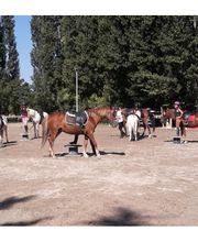 Centre Equestre Le Parc image 1