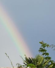 Favry-Hubert Armelle image 2