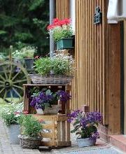Haasehof Bild 16