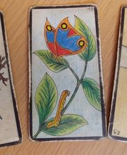 chantal dumur image 7