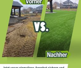 Rasenfox.de Bild 13