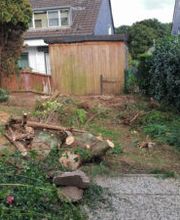 Nushi Garten- und Landschaftsbau & Hausmeisterservice Bild 4