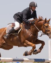 Anhaenger-Hoehenkirchen.de Bild 3