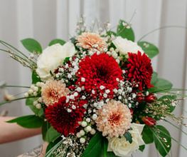 Blumen Baccara Ingolstadt Bild 10