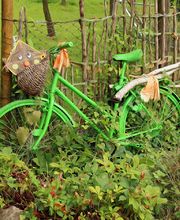 Das Fotostudio Norbert Schade Bild 2