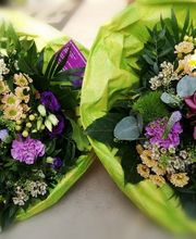 Blumen Vergissmeinnicht Bild 2