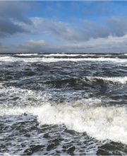 Nord-Ostsee-Shop Bild 1