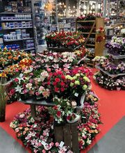 Bricomarché Cusset image 7