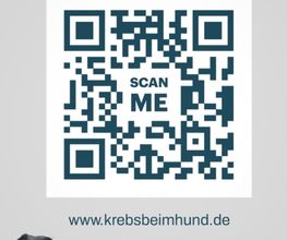 Krebs beim Hund Bild 1