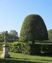 Frys Paysage SAS image 12