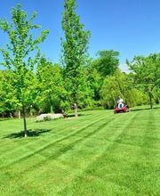 Vert'gex Paysages EURL image 1