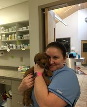 Deer Park Veterinary Hospital image 13