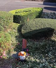 LeBau Paysage image 5