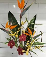 Carrément Fleurs - Fleuriste Sainte-Eulalie Bordeaux 33 - Livraison de fleurs à domicile image 8