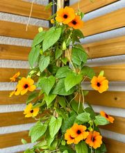 Die Sauna - Karl marx' heiß Bild 14