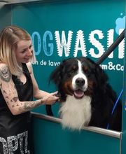 Tom&Co Calais-Coquelles image 3