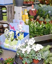 Raiffeisen-Markt Vechelde Bild 3