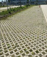 BICHLMEIER Landschaftspflege Bild 2