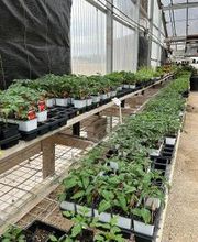 Johansen Landscape & Nursery image 4