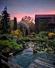 Garden Service image 1