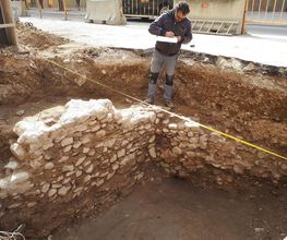 IN SITU SCP imagen 12