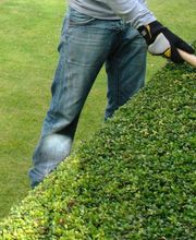 Steiner Garten-, Landschaftsbau GmbH Bild 2