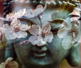 Annette Wolf Yoga & mehr Bild 2