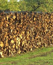 ALLIANCE Forêts Bois image 5