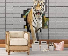 KN-COLLECTION Bild 1