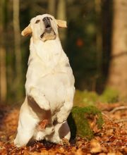 Tanja Wiedenmann Bild 6