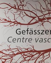 Stadelmann Malerei AG