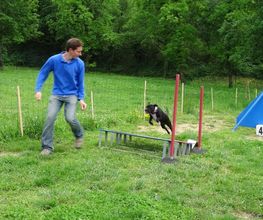 L'isle Aux Chiens image 12