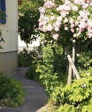 Elztal Gartenbau Bild 33