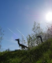 Coelophysis im Dinosaurierpark Teufelsschlucht in Ernzen