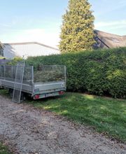 Der Grüne Flo Bild 4